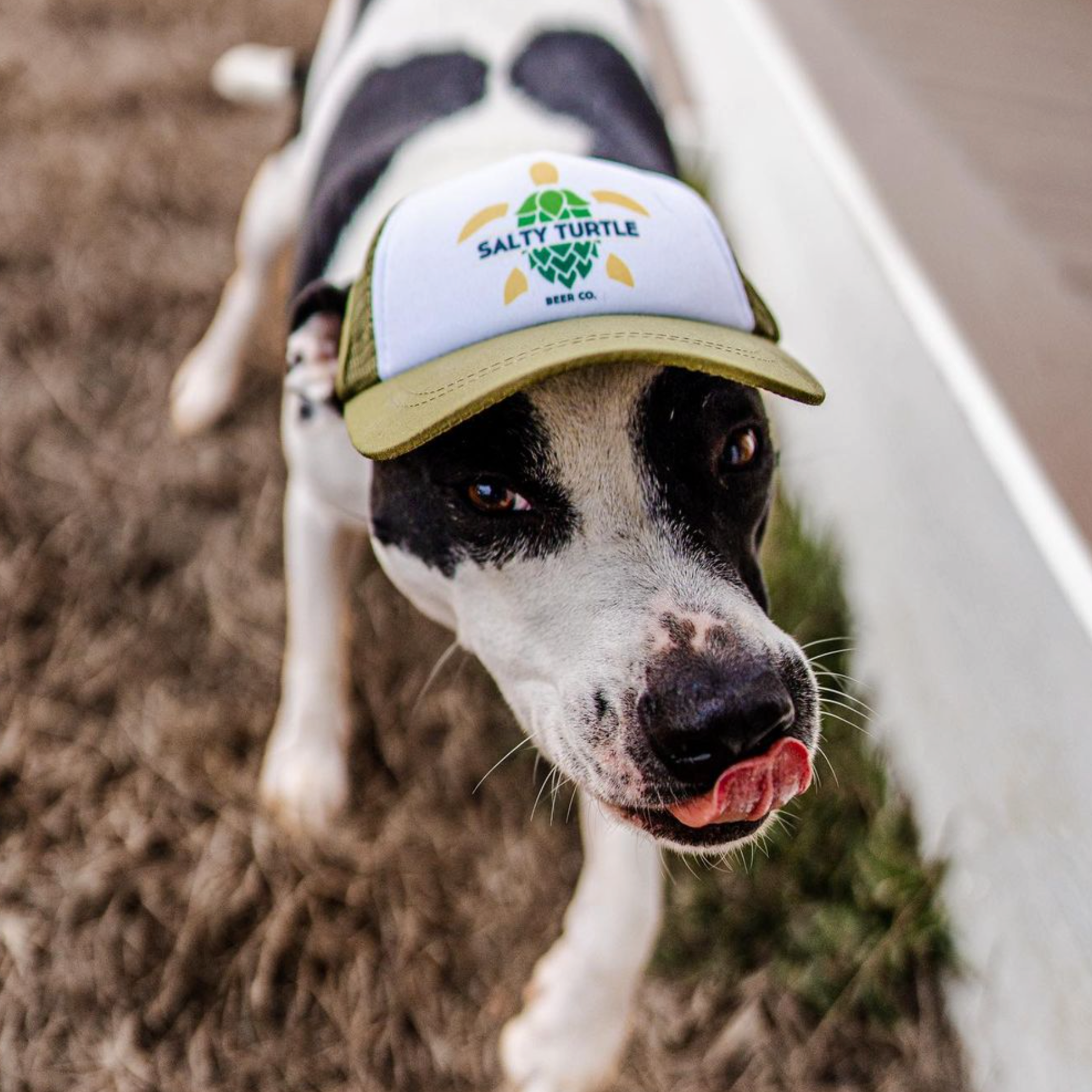 Custom Foam Trucker Hats