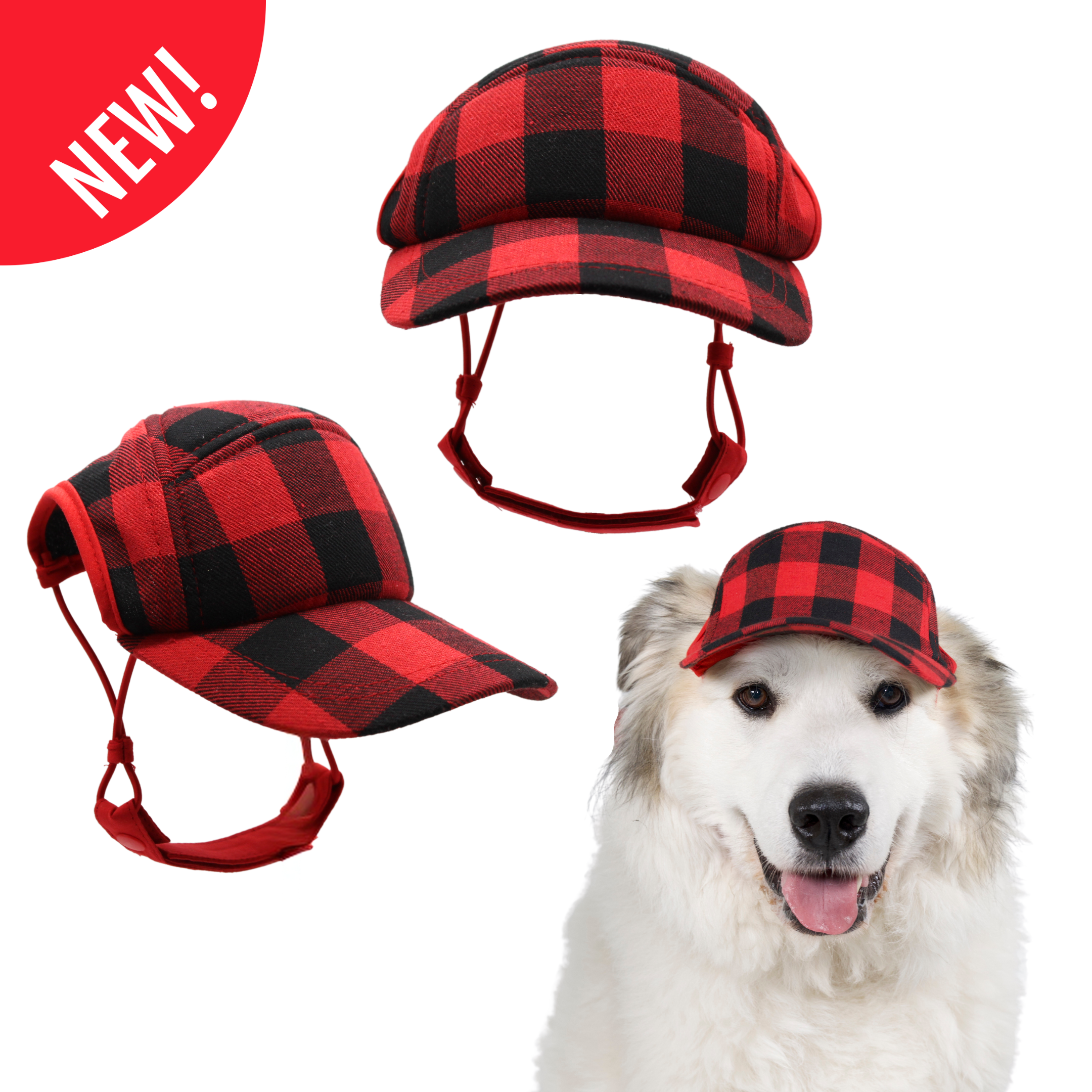 Camper Hat PupLids