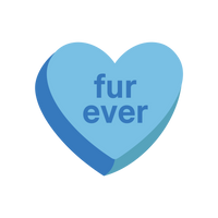 Fur Ever Candy Heart | Foam Trucker Hat