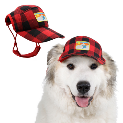 Patch | Plaid Camper Hat