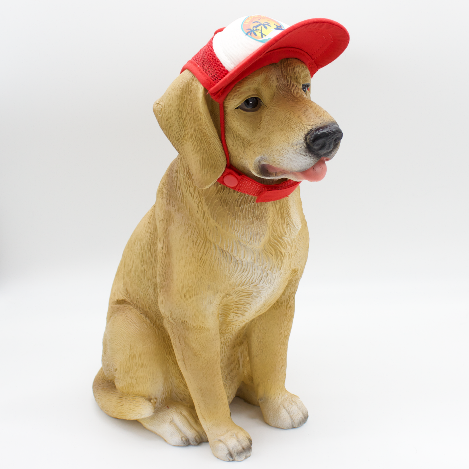 Model Dog with Display Hat
