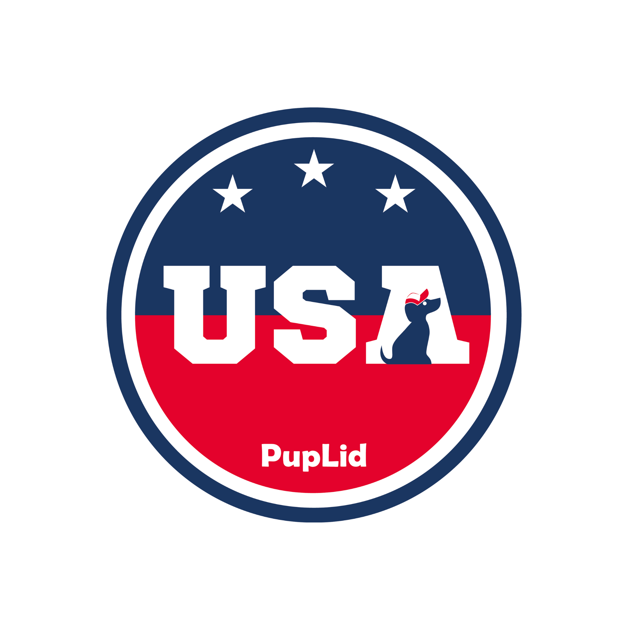 USA Stars | Foam Trucker Hat